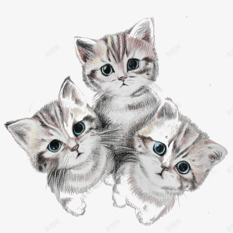 手绘可爱三只小猫咪png免抠素材_88icon https://88icon.com 三只小猫咪 可爱 手绘 猫咪