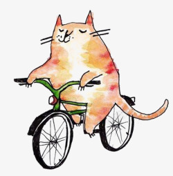 拟人猫咪骑自行车的猫高清图片