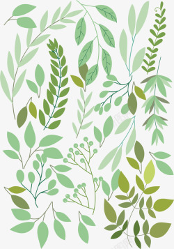 植物相框绿色树叶矢量图高清图片