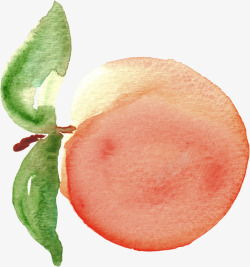 水彩的绿叶手绘水彩橘色水蜜桃高清图片
