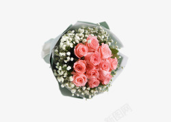 戴安娜粉玫瑰满天星花束素材