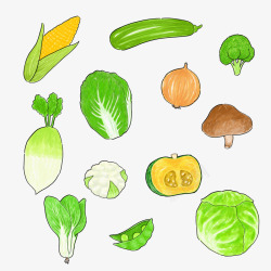 手绘绿色蔬菜合集素材