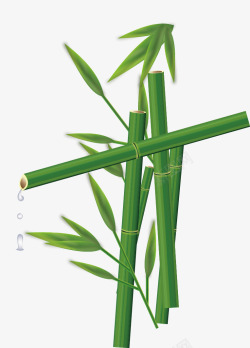 手绘绿色竹子矢量图素材