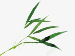 水墨绿色竹子竹叶装饰素材