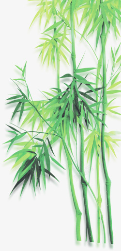 绿色朦胧竹子美景素材