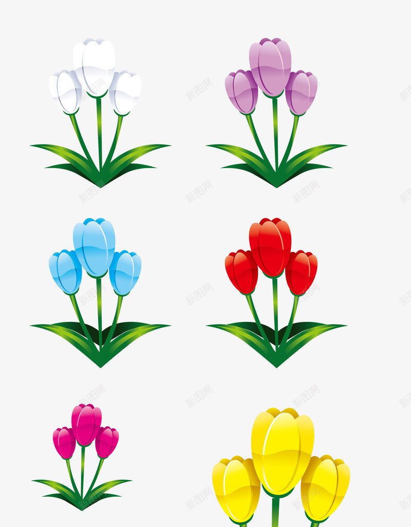 花卉图5 二零二五年香港花卉展览