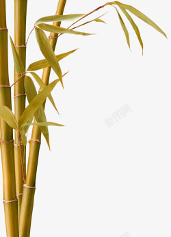 黄色简约竹子装饰图案素材