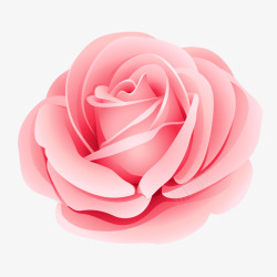 情人节花朵一朵粉色玫瑰高清图片