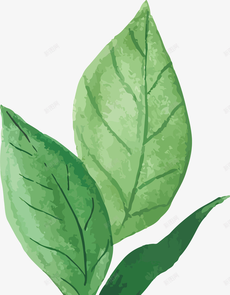 叶子装饰盆景花盆矢量图ai免抠素材_88icon https://88icon.com 手绘花盆 枝叶 欧式花盆 绿植 罗马花盆 花盆植物 装饰盆景花盆 矢量图