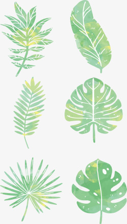 水彩绘绿色棕榈树叶矢量图素材
