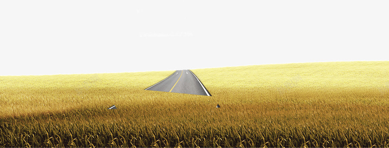 秋季稻田png免抠素材_88icon https://88icon.com 田野 秋季 稻田 金色