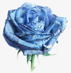 蓝玫瑰花瓣手绘蓝色妖姬装饰图案高清图片
