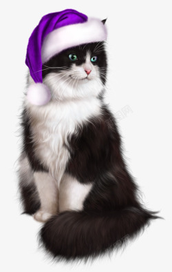 诱人的小猫咪素材