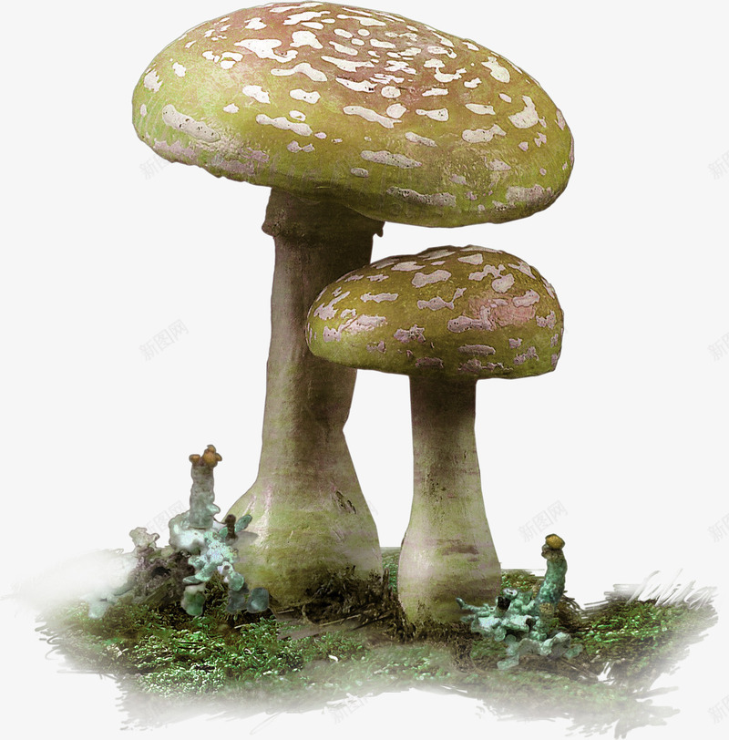 蘑菇森林装饰图案png免抠素材_88icon https://88icon.com 免抠PNG 森林 蘑菇 装饰图案