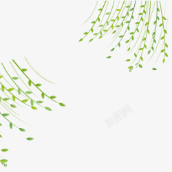 植物的生长绿色飘扬的垂柳元素高清图片