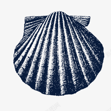 烹饪海报手绘扇贝贝壳图标图标