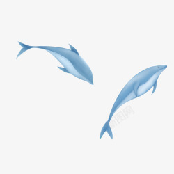 手绘卡通两条鲸鱼元素素材