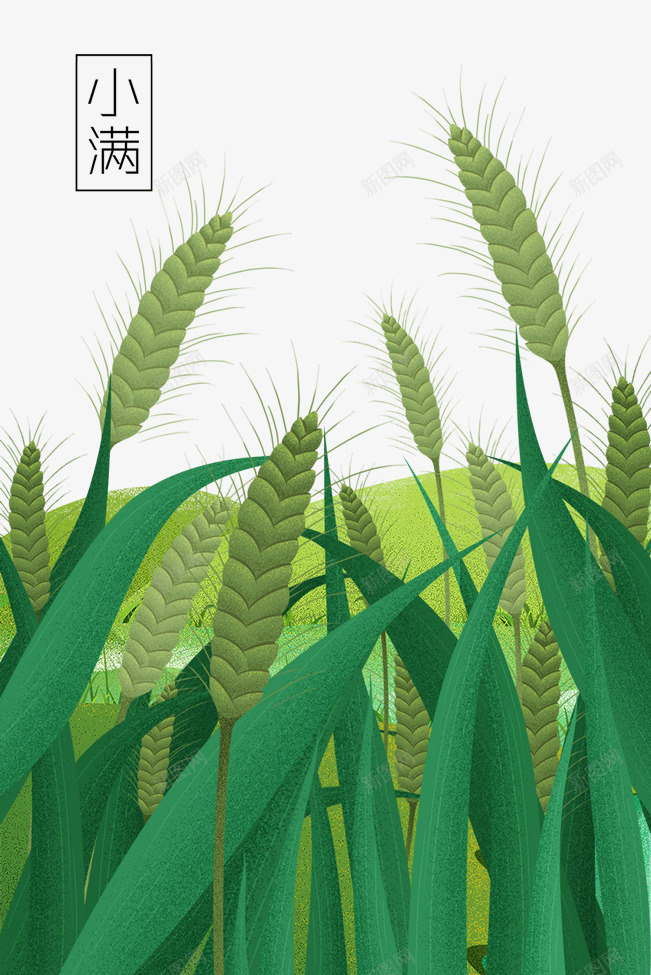 绿色创意小满卡通插画png免抠素材_88icon https://88icon.com 创意 卡通插画 小满 环境 绿色 自然 食物 麦穗