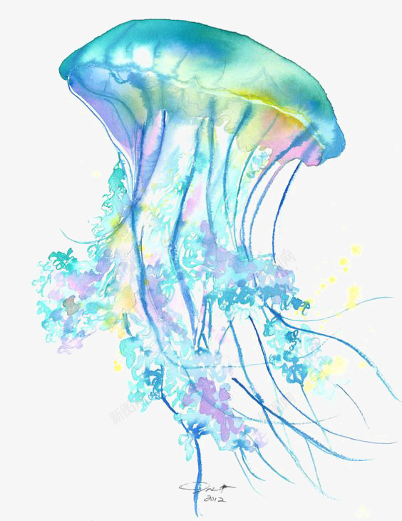 水母png免抠素材_88icon https://88icon.com 彩色水母 手绘 水彩 海洋 海洋生物 生态 自然 蓝色水母