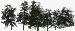 冬天树林雪景素材