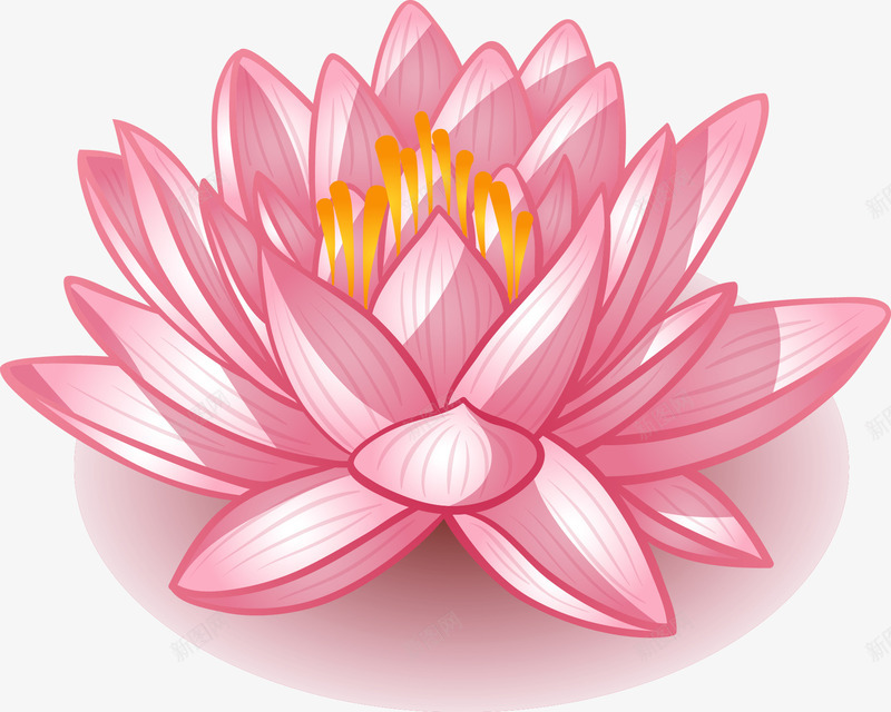 唯美卡通莲花矢量图eps免抠素材_88icon https://88icon.com 唯美卡通莲花矢量图 矢量唯美卡通莲花 莲花 莲花矢量 矢量图