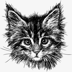 黑色手绘猫咪头像矢量图素材