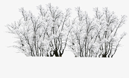 创意合成冬天白色的雪花树木png免抠素材_88icon https://88icon.com 冬天 创意 合成 树木 白色 雪花