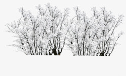 摄影创意合成树木冬天素材