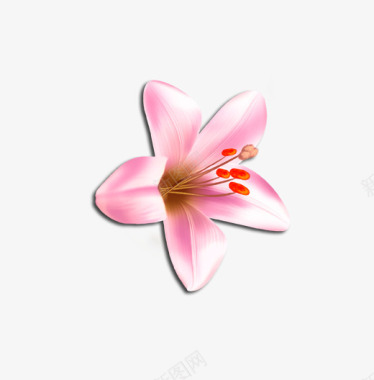 矢量装饰小花庆典花卉卡通装饰图标图标
