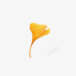 黄色的银杏叶素材