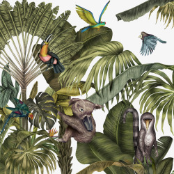 亚热带森林动物图案背景素材