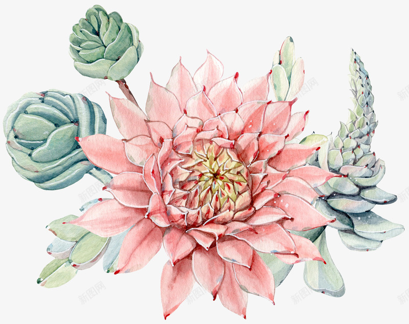 手绘粉色绿色多肉组合png免抠素材_88icon https://88icon.com 多肉 多肉组合 手绘 插画 文艺 植物 清新 花草装饰 花草设计