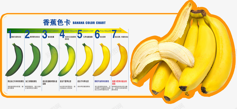 超市香蕉比色卡png免抠素材_88icon https://88icon.com 比色卡 水果 香蕉