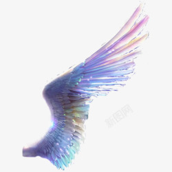 彩色翅膀设计彩色翅膀高清图片