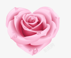 粉红色心形玫瑰矢量图素材