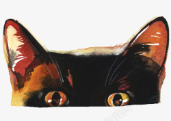 手绘可爱动物小猫咪头部上半部分素材