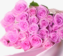 粉紫色玫瑰丝绸素材