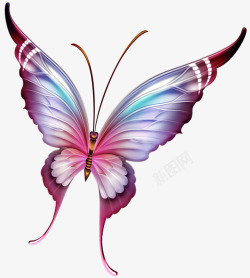 灵动彩色花纹动物梦幻紫色蝴蝶高清图片