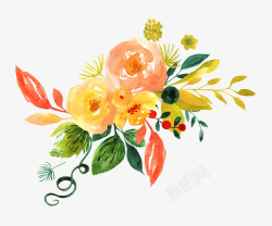 手绘水彩花卉装饰图案素材