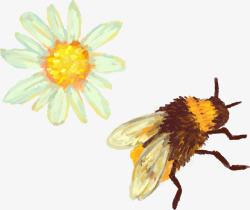 蜜蜂蜂蜜装饰元素素材