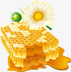 精美蜂蜜蜜蜂素材
