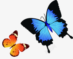 黑蓝色蝴蝶开业海报素材