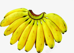 黄色成熟香蕉水果素材