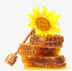 蜂蜜向日葵素材