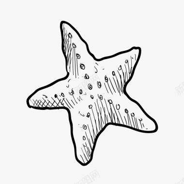 星海海星矢量图图标图标