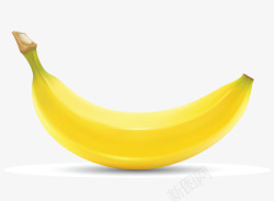 金环一根金环饱满香蕉高清图片