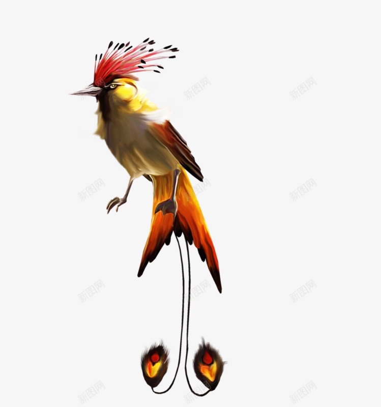 手绘彩色鸟png免抠素材_88icon https://88icon.com 彩色 手绘 鲜艳 鸟