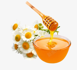 天然蜂蜜美食实物素材