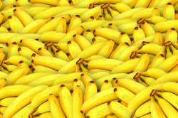 香蕉美图风景素材