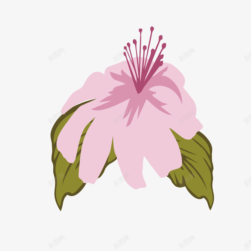 手绘绽放的杜鹃花瓣线稿矢量图ai免抠素材_88icon https://88icon.com 一朵杜鹃花 卡通 卡通杜鹃花 带叶子 手绘 杜鹃花 杜鹃花瓣 矢量图